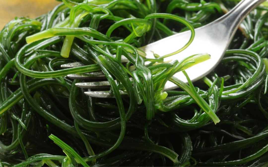 Agretti-le-ricette-di-nativa