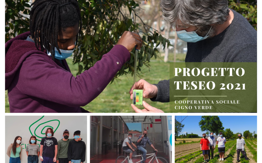 Termina il Progetto Teseo: le opportunità e le nuove competenze dei partecipanti