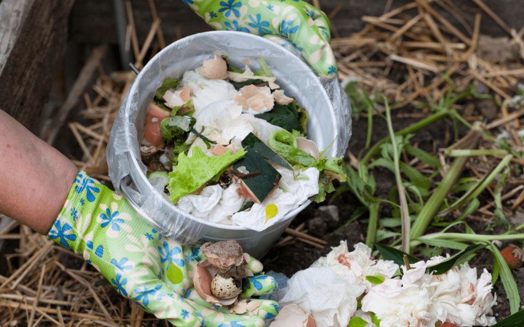 Smaltimento dei rifiuti organici: i vantaggi del compostaggio